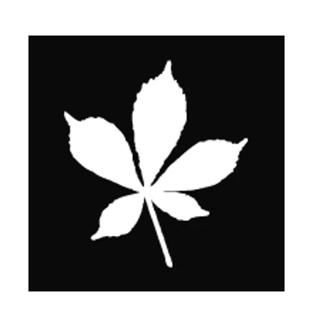 London Borough of Redbridge logo